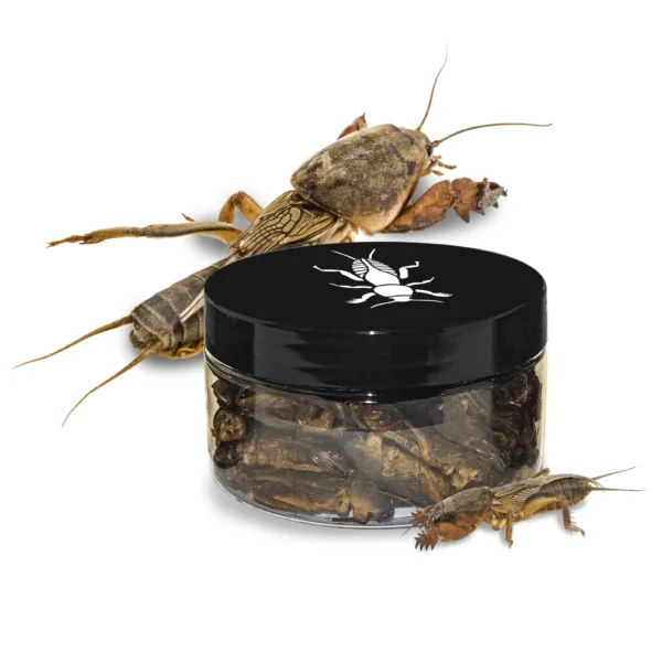 lótetű, halcsali, állateledel, szárított lótetű