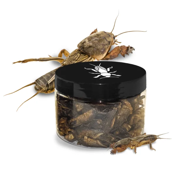 lótetű, halcsali, állateledel, szárított lótetű