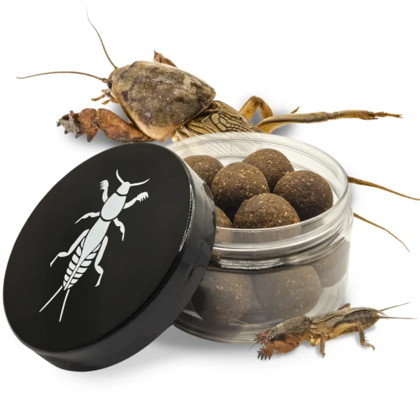 lótetűs bojli, szárított lótetű, horgászcsali