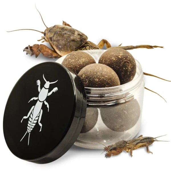 lótetűs bojli, szárított lótetű, horgászcsali