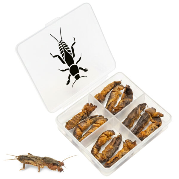 lótetű, halcsali, állateledel, szárított lótetű