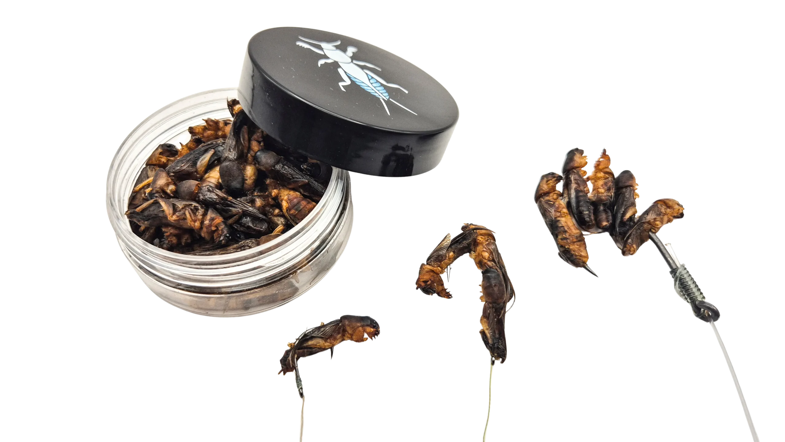 Fedezze fel az új rehidratált lótetű lehetőségeit.