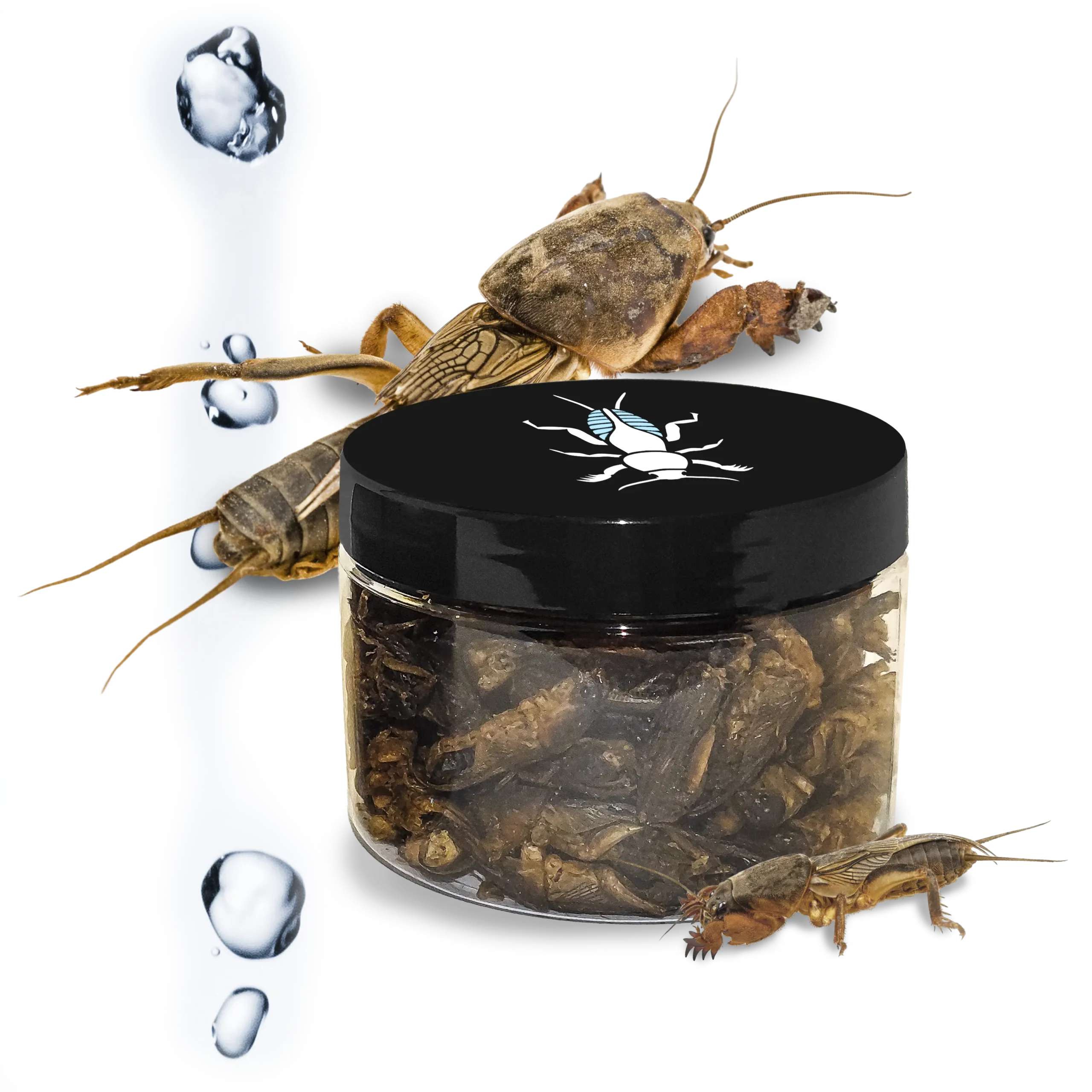 Elérhető a kínálatunkban az új rehidratált lótetű.