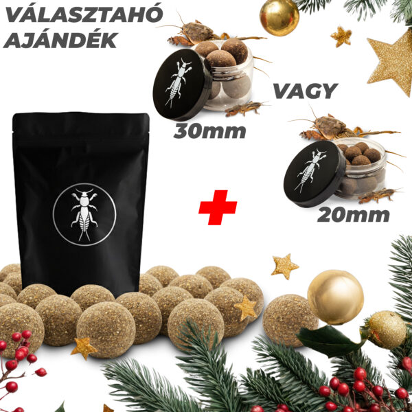 lótetűs etetőbojli, szárított lótetű, horgászcsali