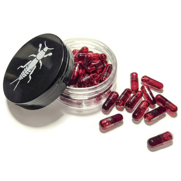 Lótetű horgász kapszula