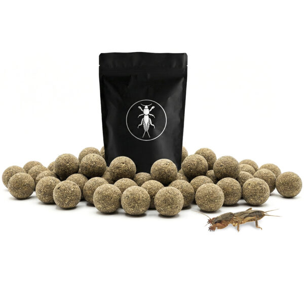 lótetűs etetőbojli 24mm