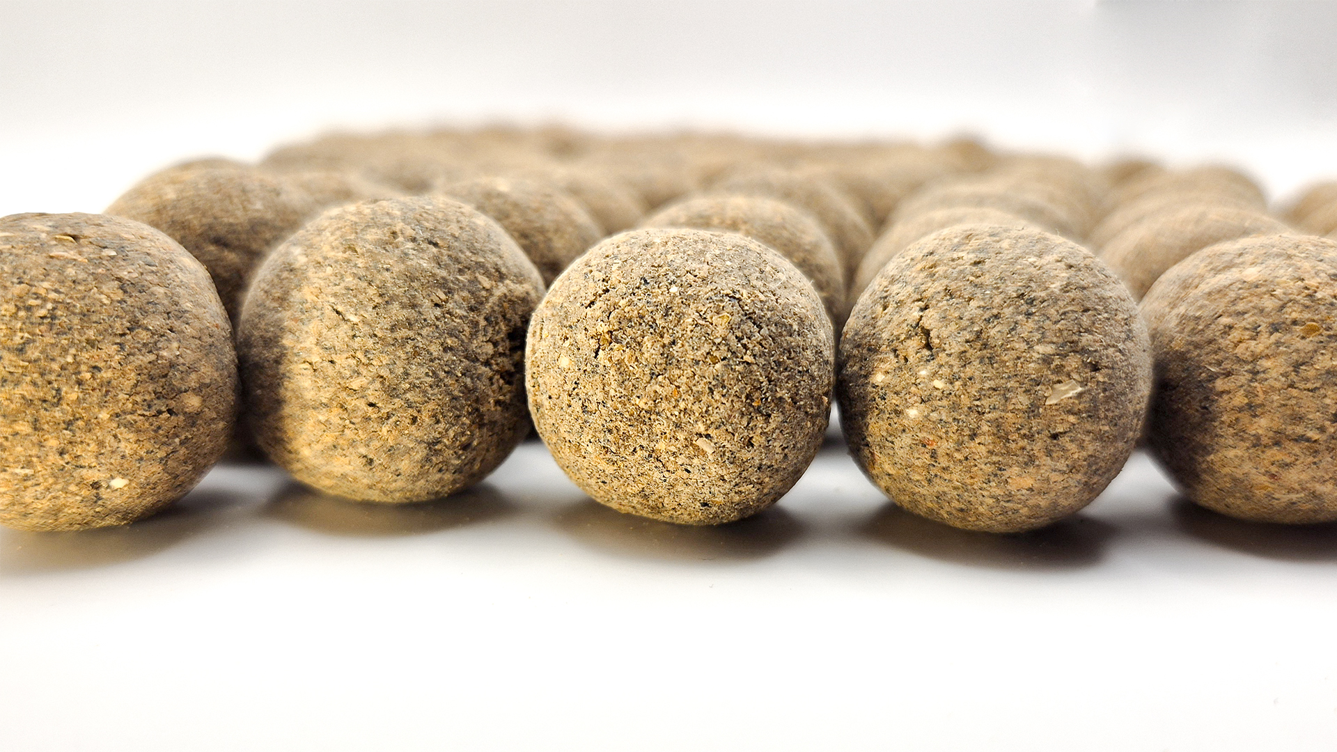 Lotetu_oldodo_bojli_veres_majas_24mm_szembol_01 lótetűs etetőbojli 24mm