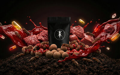 PRÉMIUM LÓTETŰS VÉRES MÁJAS ETETŐBOJLI