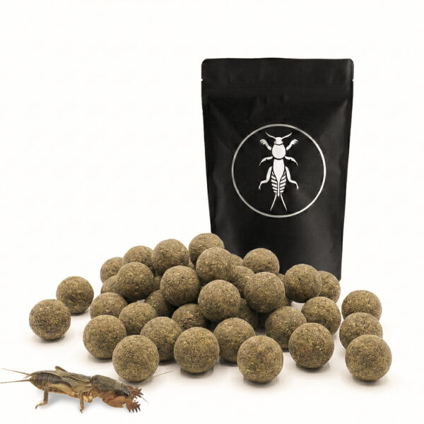 lótetűs etetőbojli 24mm